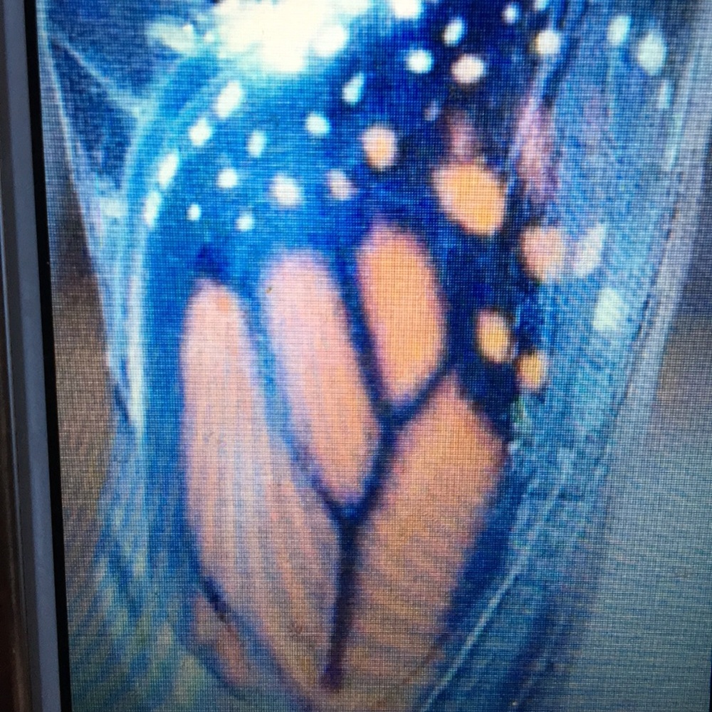 Meet your Posher, Bridget